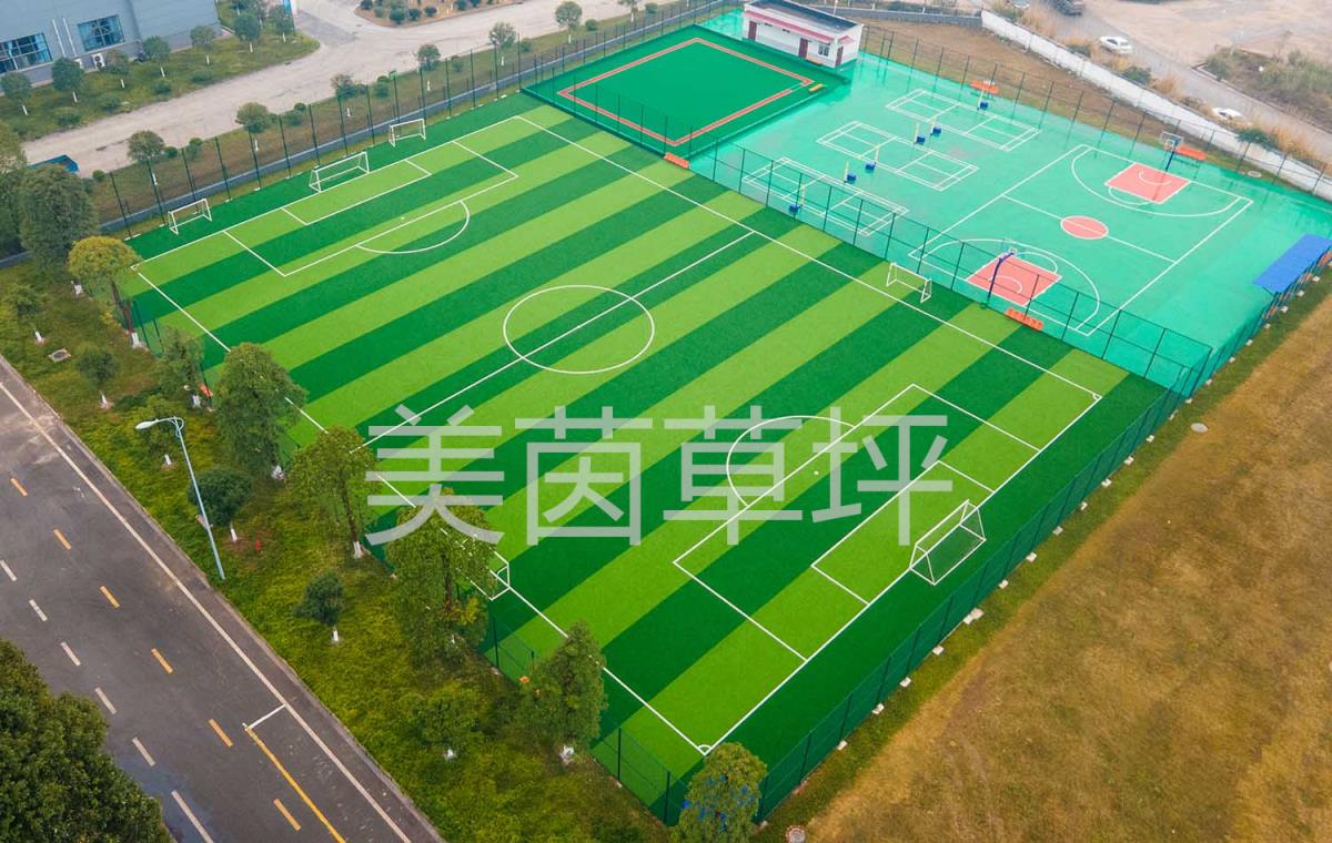 会呼吸的草坪，美茵免填充人造草坪